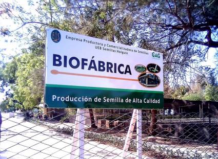 Biofábrica de Holguín