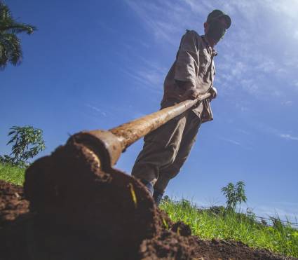 Agricultura