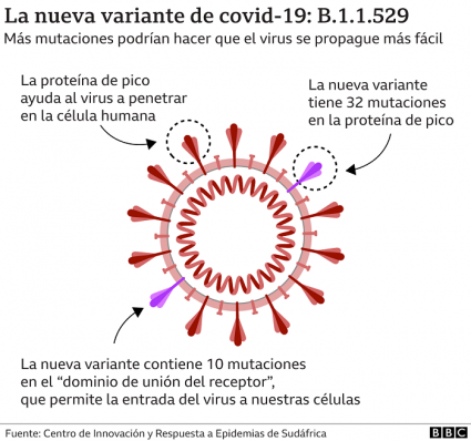 Variante Ómicron (1)