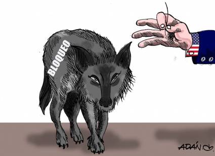 Lobo