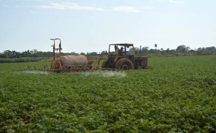Agricultura en Cuba