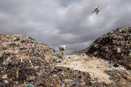 Este año las celebraciones a nivel mundial tienen como temática principal la contaminación por plástico