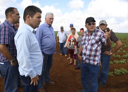 Presidente cubano visita la provincia de Ciego de Ávila.