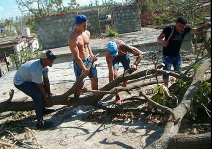 Artistas trabajan en la recuperación