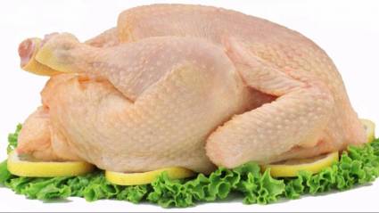 Pollo