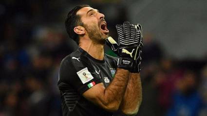 Buffon