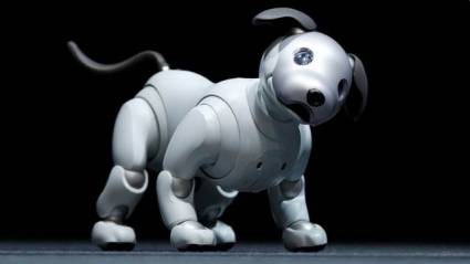 Aibo el perro robotico