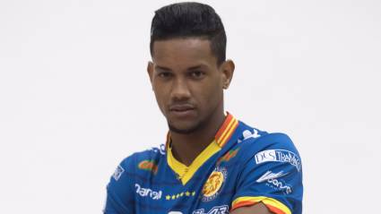 Miguel David