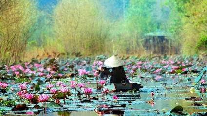 Los colores de Vietnam