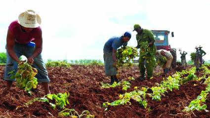 Jóvenes en el campo.