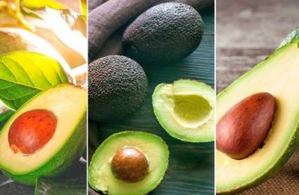 El aguacate es una fruta con infinidad de propiedades, no solo en su carne, también en su semilla