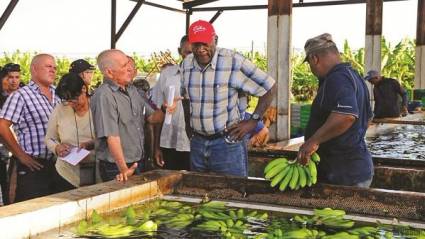 Salvador Valdés Mesa