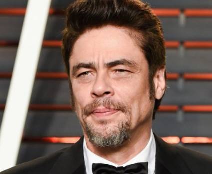El premiado Benicio del Toro, será uno de los participantes de lujo del Festival