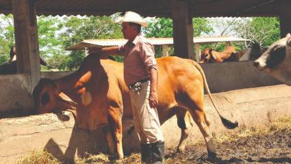 La EAG apuesta por el rescate de la ganadería