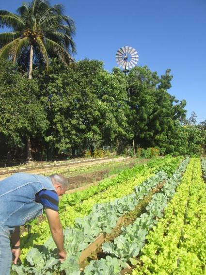 Balance anual de la Agricultura