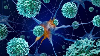 Virus AFM