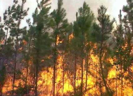 La sequía, extendida por el territorio, golpeó fuertemente el lugar y contribuyó a la propagación de las llamas