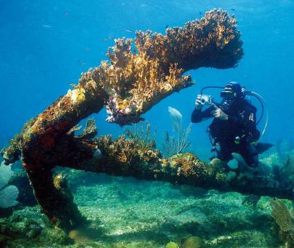 Punta Francés está considerado uno de los mejores fondos marinos del mundo para el buceo.