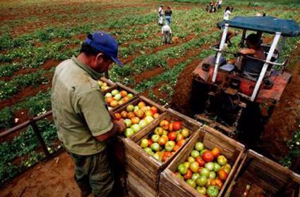 Cooperativas Agropecuarias