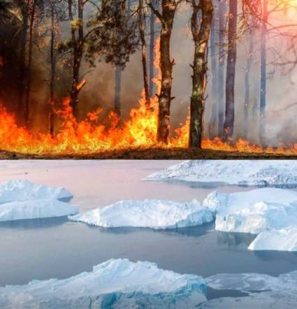 Incendios forestales sin precedentes en el Ártico