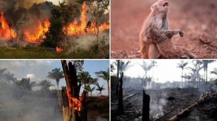 El Amazonas no es de Sudamerica únicamente, es de todos, se está quemando nuestro futuro