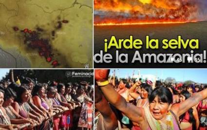 Fuegos en la selva amazónica