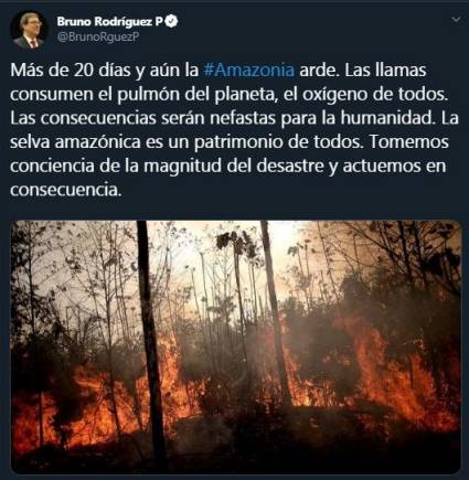 Canciller cubano llamó a enfrentar desastre en la Amazonia