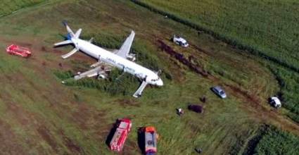 El avión perdió potencia luego de chocar con aves