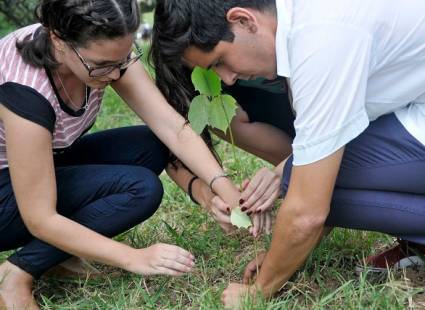 Jóvenes cubanos en siembra de árboles