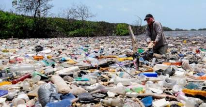 Desechos plásticos en los ecosistemas costeros