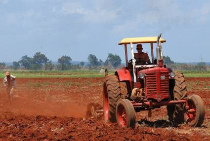 Agricultores cubanos