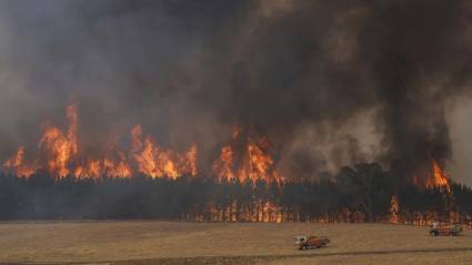 Megaincendio al sur de las Montañas Nevadas, Australia