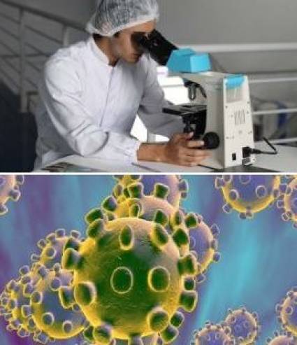 Expertos siguen estudiando el coronavirus