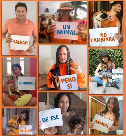 Artistas, comunicadores, youtubers cubanos en el día del perro