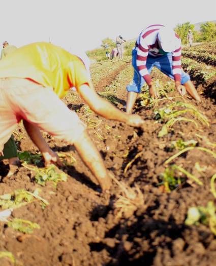 Las actividades centrales, en Holguín, ocurrieron en el polo productivo de Beola