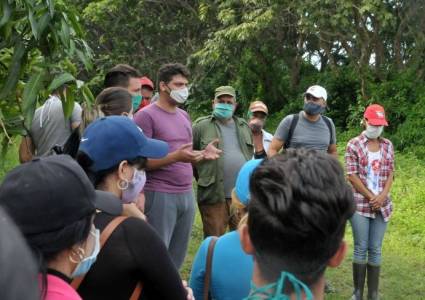 Apoyan contingentes juveniles la recuperación