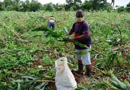 Cuba en Fase Recuperativa