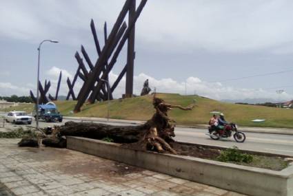 Tormenta tropical Laura