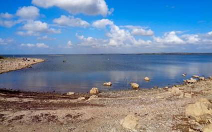 Presa Alacranes