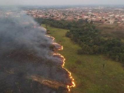 hectáreas del Pantanal consumidas por las llamas