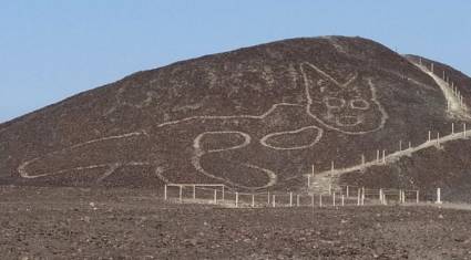 Líneas paracas