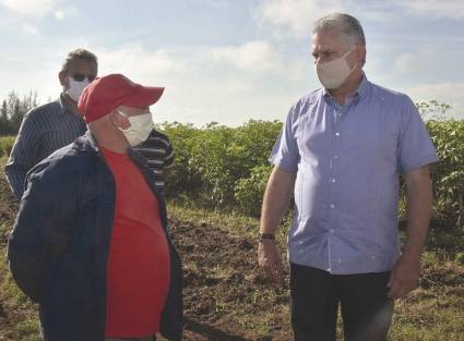 Díaz-Canel visitó la Empresa Agropecuaria Valle del Yabú