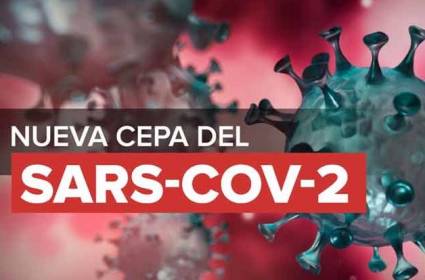 cepa de coronavirus SARS-CoV-2