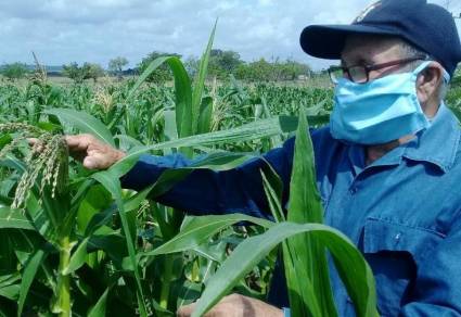 Producción de alimentos