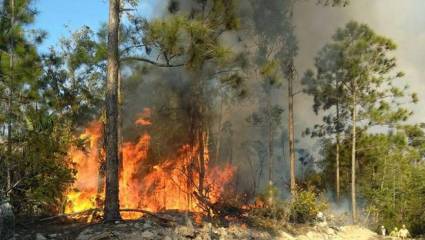 Incendios Forestales en Cuba