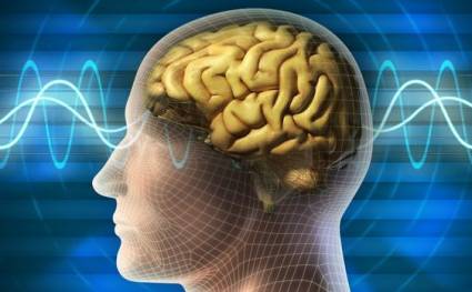 Neuralink realizaría pruebas de implantes cerebrales