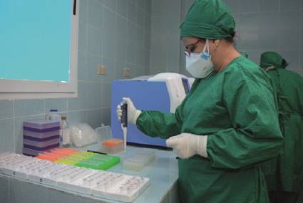 Protocolos sanitarios