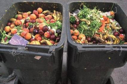 Comida a la basura