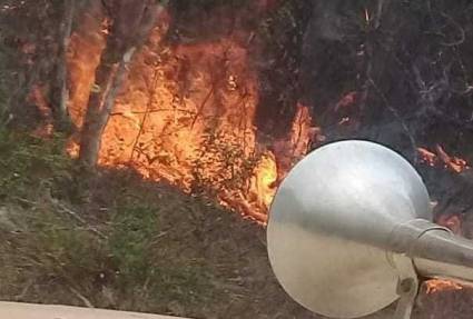Presidente cubano informa sobre incendio forestal en Parque Nacional Alejandro de Humboldt