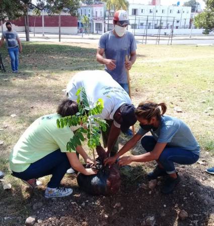 Jornada Juventud en verde, desarrollan por las Brigadas Técnicas Juveniles y la Red Juvenil Ambiental de Cuba
